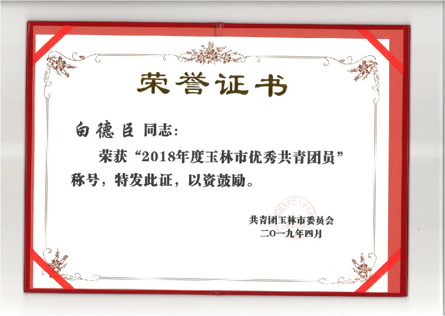 廣西銀億白德臣榮獲“玉林市優(yōu)秀共青團員”稱號