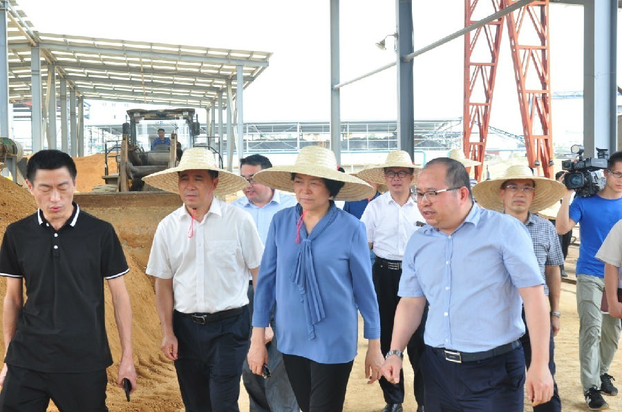 自治區(qū)黨委常委、副主席嚴(yán)植嬋一行蒞臨廣西銀億調(diào)研